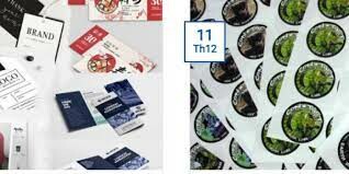 Công Ty TNHH MTV Thiên Y 1