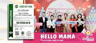 Công ty TNHH Hello mama 17