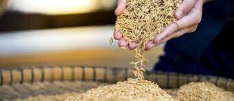 Công Ty Cổ Phần Thương Mại Đầu Tư Tín Thương 15