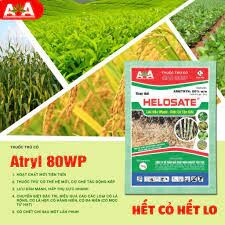 Công Ty TNHH Giải Pháp Nông Nghiệp Tiên Tiến 15