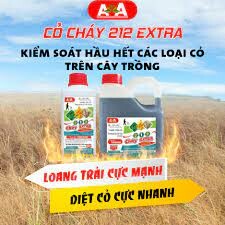 Công Ty TNHH Giải Pháp Nông Nghiệp Tiên Tiến 13