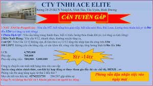 Công Ty TNHH Ace Elite 17