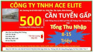 Công Ty TNHH Ace Elite 16