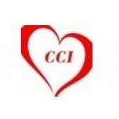 Công Ty TNHH CCI Việt Nam 1