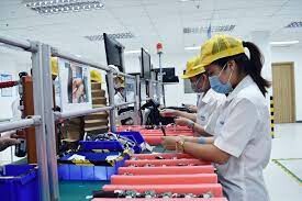 Công Ty TNHH CCI Việt Nam 17