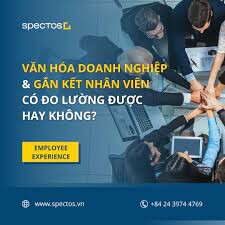 SPECTOS ASIA 6