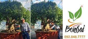 KHÁNH VÕ GARDEN 12