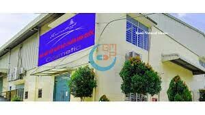 TAMI NATURAL HOME CMP 8