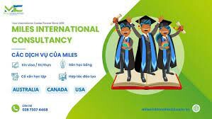 Công Ty TNHH Miles International Consultancy Việt Nam 7