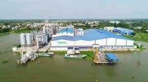 Gạo Vinh Phát Wilmar 8