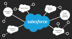 CÔNG TY TNHH ZEN8 VIỆT NAM 5