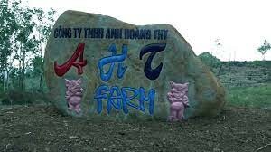 Công Ty Anh Hoàng Thy 3