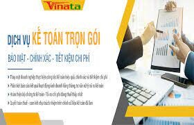 DỊCH VỤ TƯ VẤN VINATA 4