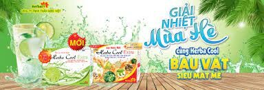 Thảo Dược Việt 11