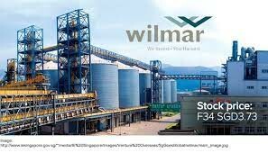 Wilmar CLV 5