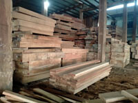 XUẤT NHẬP KHẨU GỖ HÀ NỘI 1