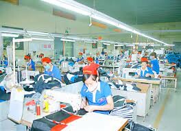 XUẤT NHẬP KHẨU HOÀNG ANH 5