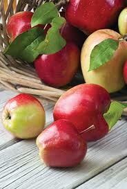 PHÚ NHUẬN FOOD 2