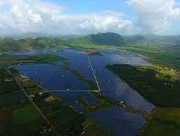 Trường Thành Vitosa Việt Nam 2