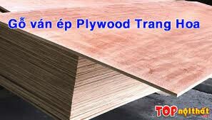 Công ty ván ép Tây Hà Nội 8