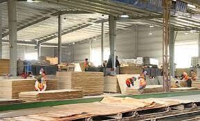 Công ty ván ép Tây Hà Nội 7