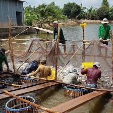 Thuỷ Sản Hùng Phúc 6