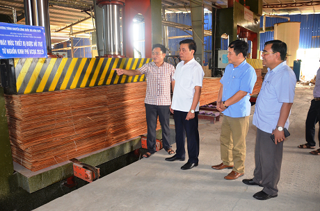 Công ty ván ép Tây Hà Nội 6