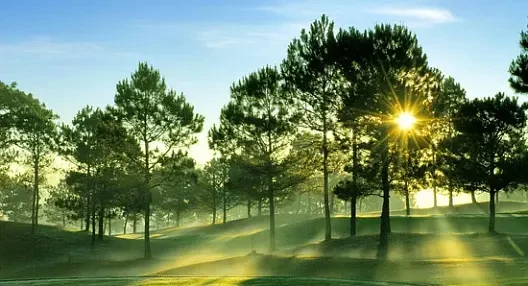 CÔNG TY CỔ PHẦN KOVIC VIỆT NAM 9