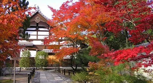 CÔNG TY CỔ PHẦN KOVIC VIỆT NAM 10