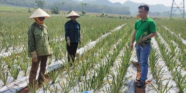 Công ty cổ phần TMTH Toan Vân 9