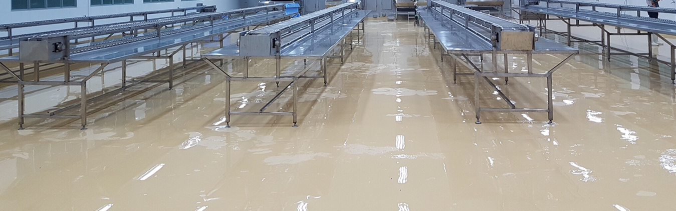 CÔNG TY CỔ PHẦN US VIỆT NAM 1