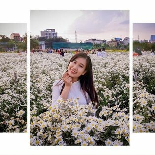 Công ty Cổ phần Đầu tư Thương mại & Kỹ thuật Lương Gia 8