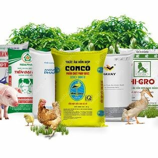 Công Ty Cổ Phần Tkmb 11