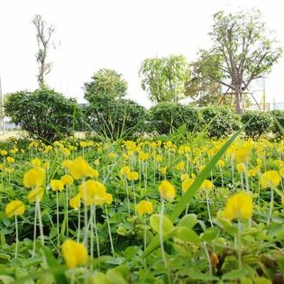 KAS E&C (Vietnam) Ltd Company 9