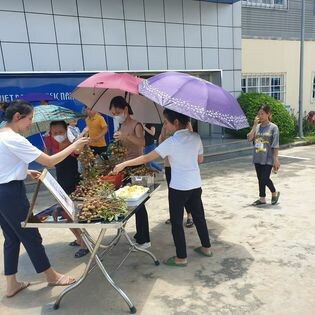 Công Ty May Viet Pan-Pacific Nam Định 8