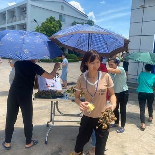 Công Ty May Viet Pan-Pacific Nam Định 9