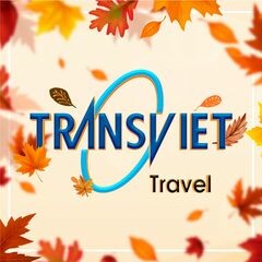 Logistic Transviet 10