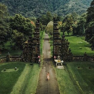 Logistic Transviet 9