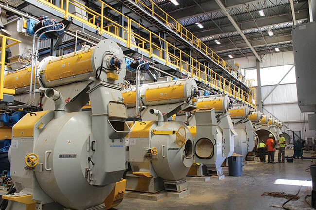 Năng Lượng Sinh Học Phú Tài 3