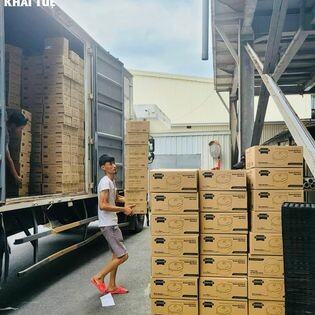 Công Ty TNHH Đầu Tư Và Phát Triển Khai Tuệ 7