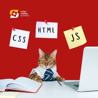 Swiss Coding Academy 7