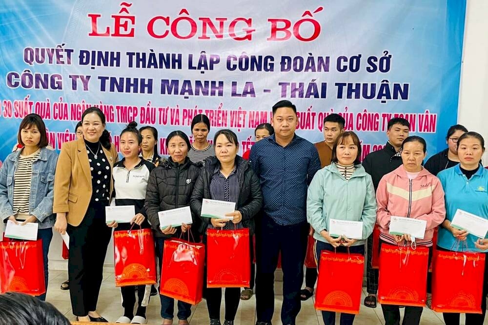 Công ty cổ phần TMTH Toan Vân 1