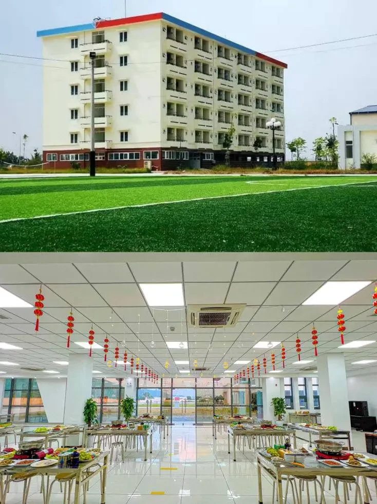 Điện lực Hải Dương 8