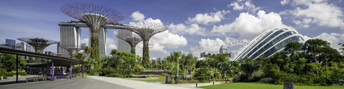 Kein Hing Muramoto (Việt Nam) 13