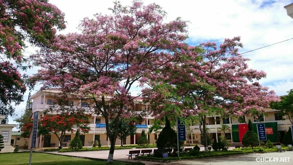 CÔNG TY CỔ PHẦN SẢN XUẤT SƠN VIỆT NHẬT 6