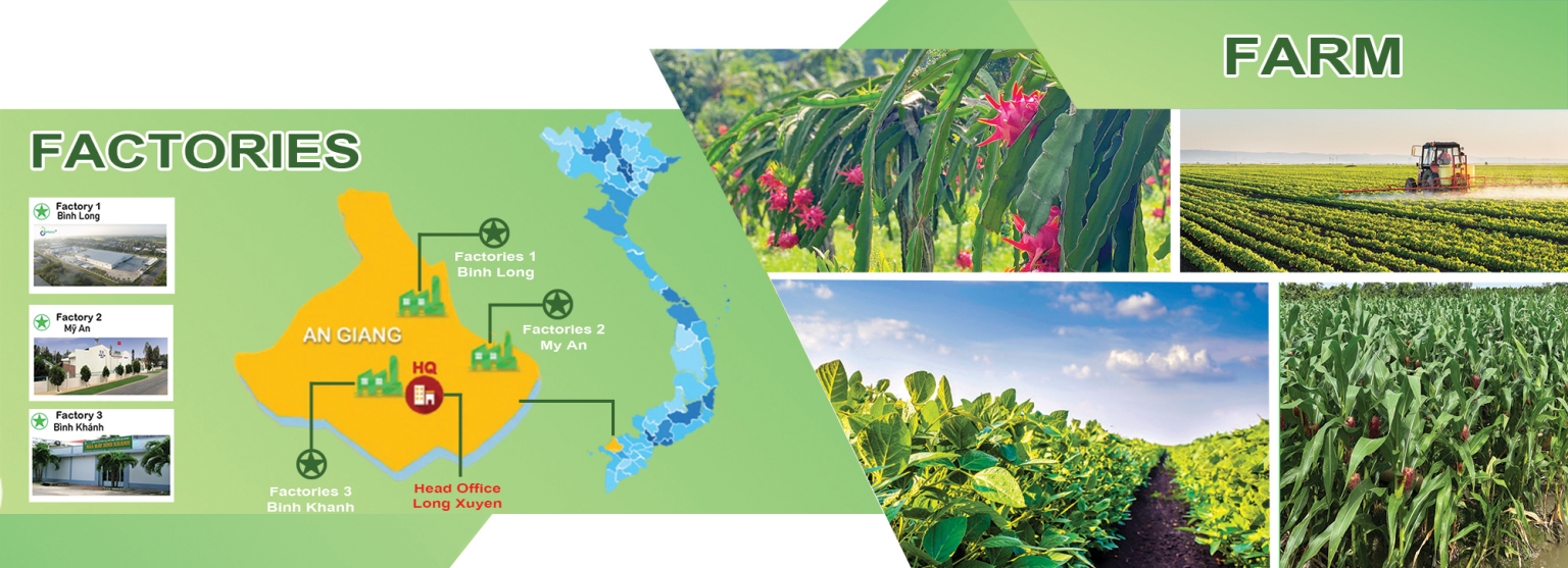 Công ty Rau quả Thực phẩm An Giang 10