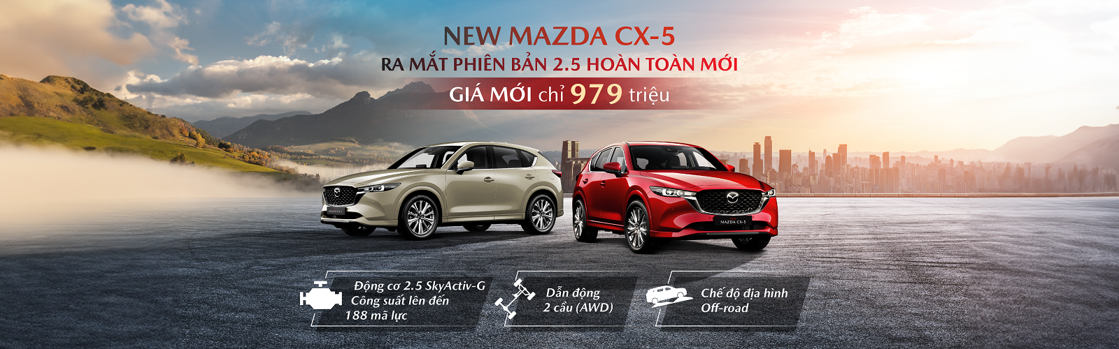 Công Ty TNHH Đầu Tư Ô Tô Ninh Bình 7