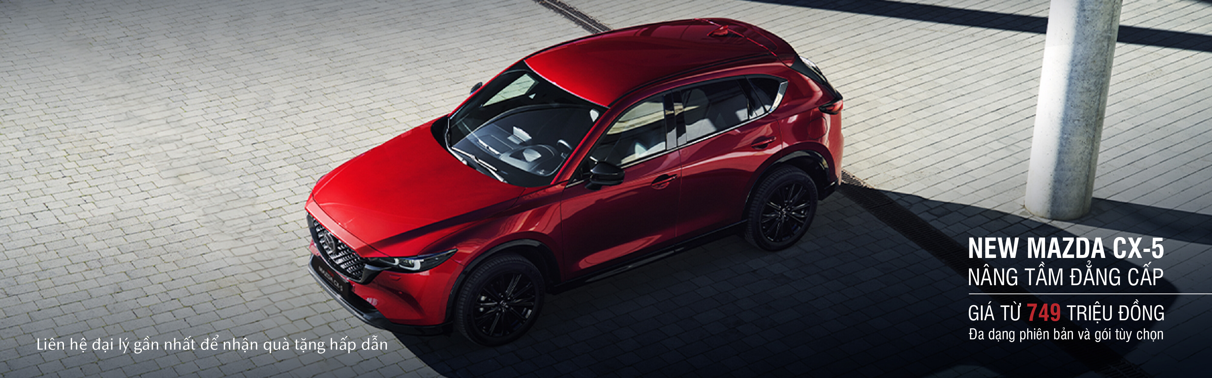 Công Ty TNHH Đầu Tư Ô Tô Ninh Bình 6