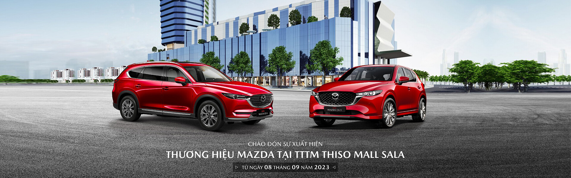 Công Ty TNHH Đầu Tư Ô Tô Ninh Bình 4