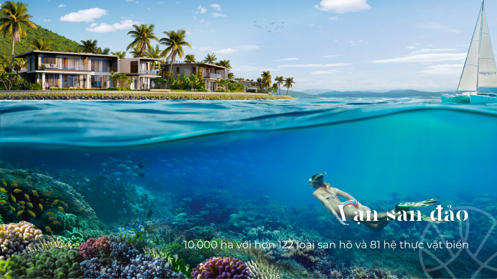 Vega Holidays (VEGA HOLIDAYS., JSC) 11